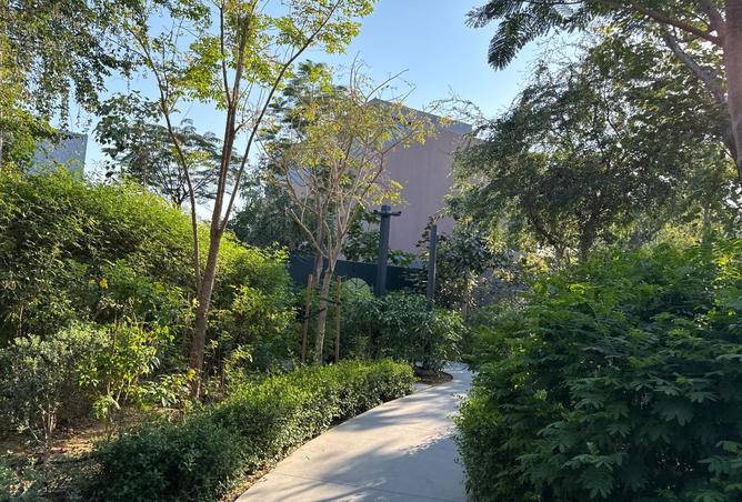 15812712 - Property Image 3