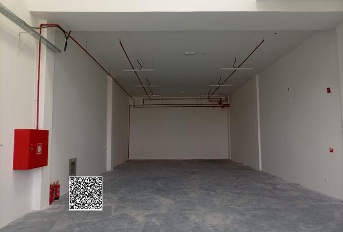 16030294 - Property Image 2