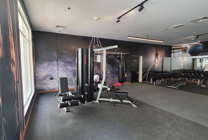 15543489 - Property Image 3