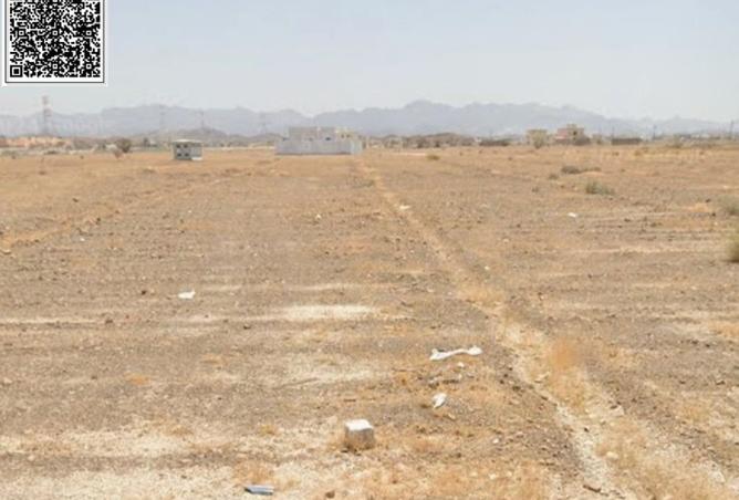 15475778 - Property Image 3