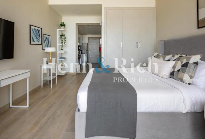 16080484 - Property Image 3