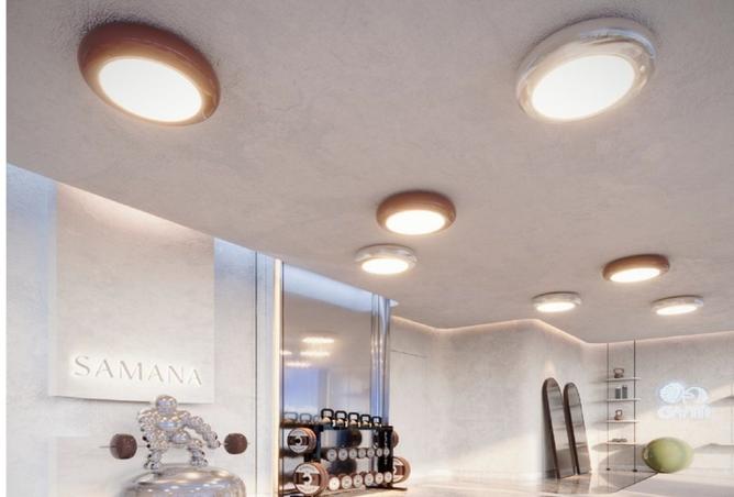 15653256 - Property Image 3