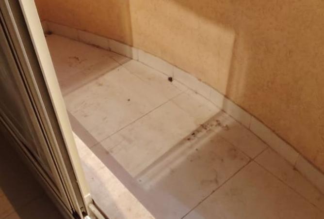 15664692 - Property Image 3