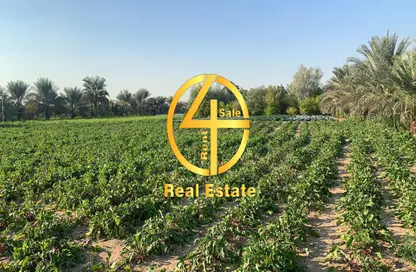 Garden image for: Farm - Studio for sale in Al Faqa'a - Al Ain, Image 1