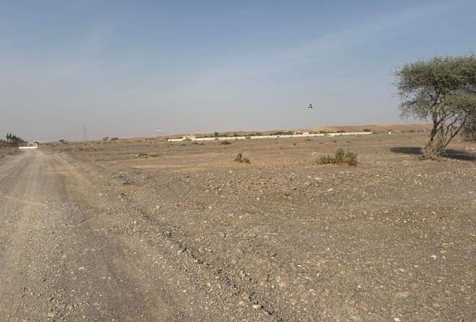 15597946 - Property Image 3