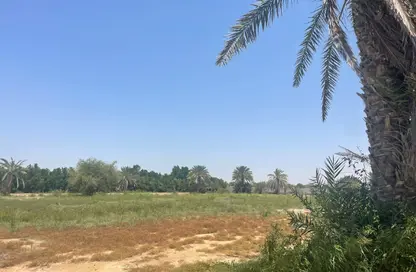 مزرعة - استوديو للبيع في العجبان - أبوظبي