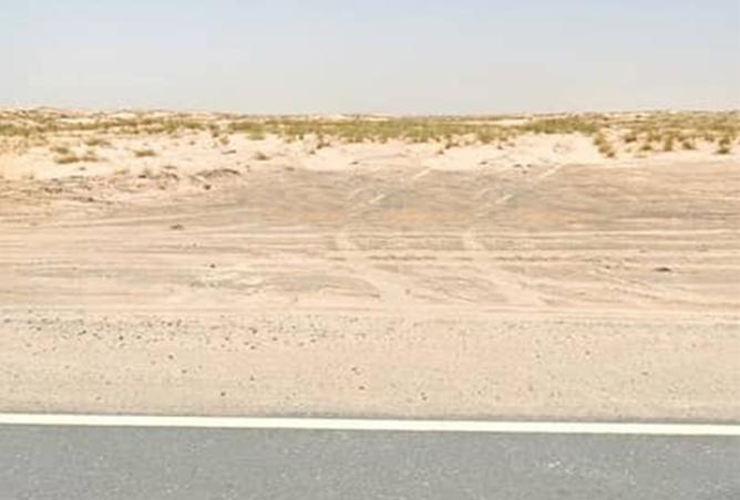 15682766 - صورة العقار 3