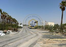 أرض للبيع في كيتورا ريسييرف - 7 منطقه - مدينة الشيخ محمد بن راشد - دبي