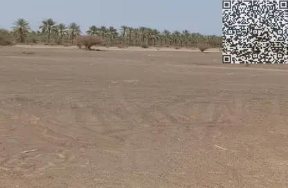 أرض - استوديو للبيع في المنامة - عجمان