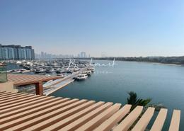 Studio - 1 bathroom for rent in Palm Views West - Palm Views - Palm Jumeirah - Dubai