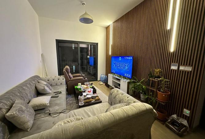 16039399 - Property Image 3