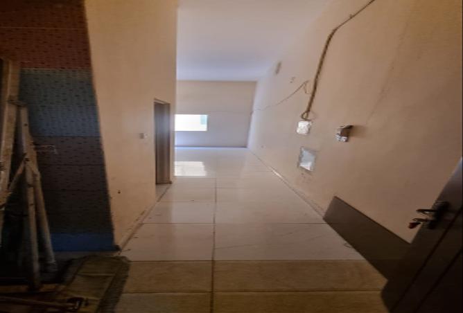 15239595 - Property Image 3