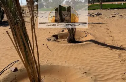 مزرعة - استوديو للبيع في برج العين - شارع حمدان - أبوظبي