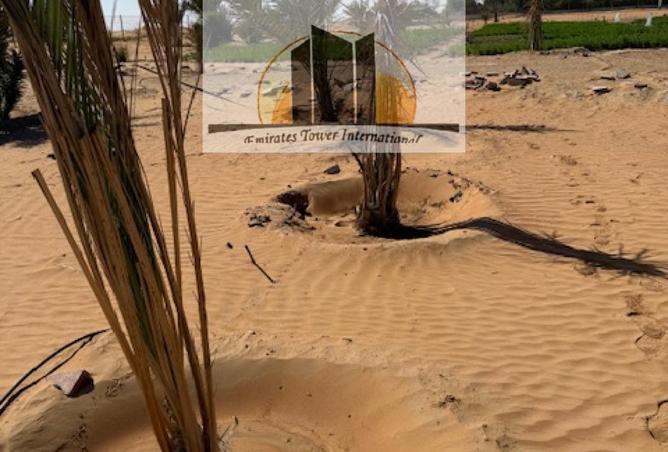 15968500 - الصورة الرئيسية للعقار