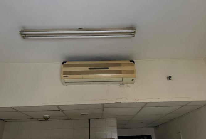 16040989 - Property Image 3