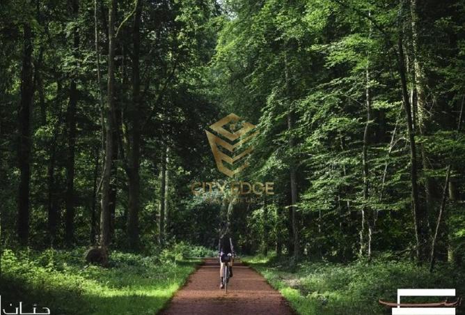 15660411 - صورة العقار 3