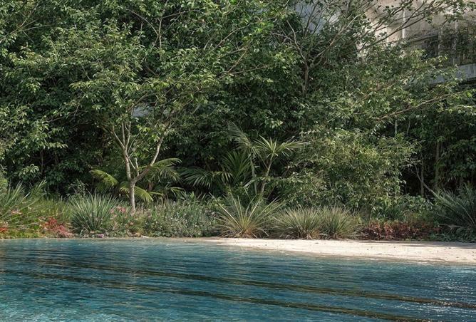 15961090 - صورة العقار 3