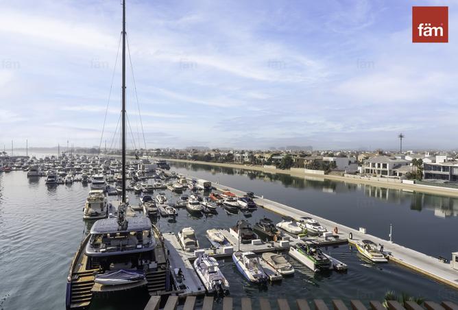 15481561 - Property Image 2