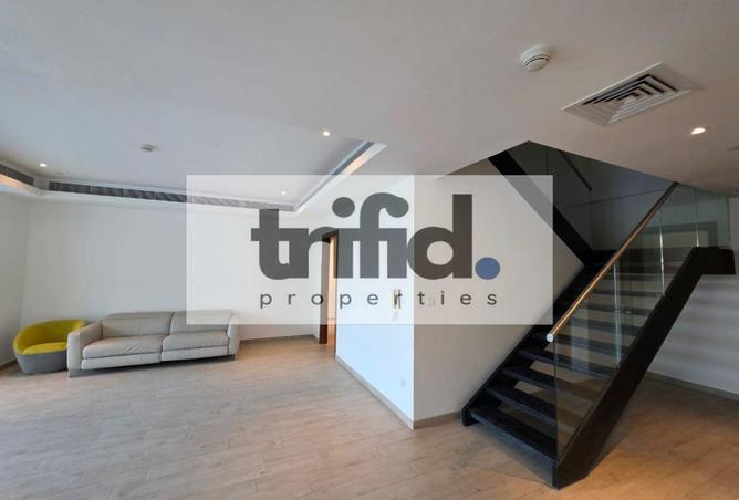 15277069 - Property Image 3