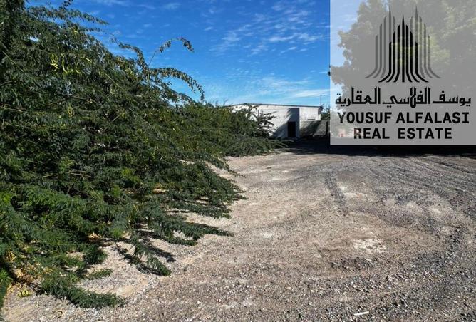 15922320 - صورة العقار 2