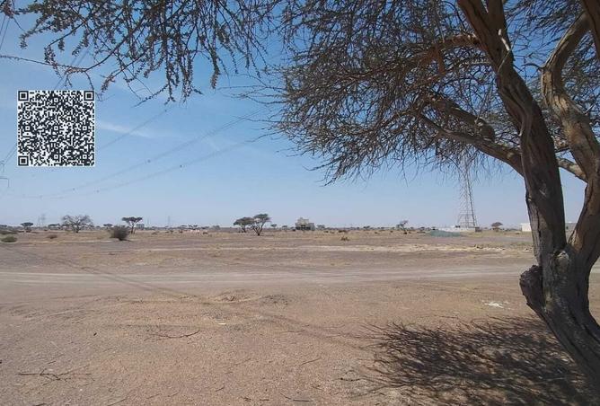 15938137 - Property Image 3