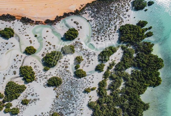 15565446 - صورة العقار 2