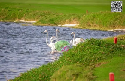 Land - Studio for sale in Creekside - Al Zorah - Ajman Land - Studio for sale in Creekside - Al Zorah - Ajman