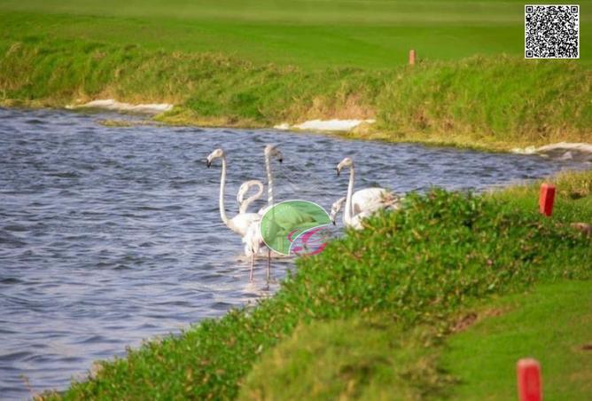 15817306 - الصورة الرئيسية للعقار