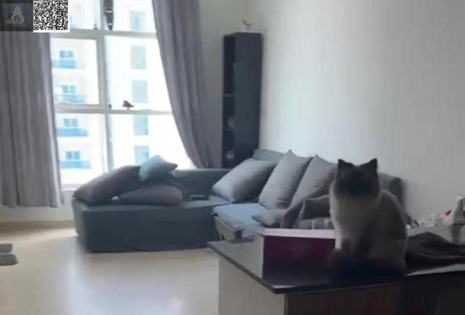 15828440 - صورة العقار 2