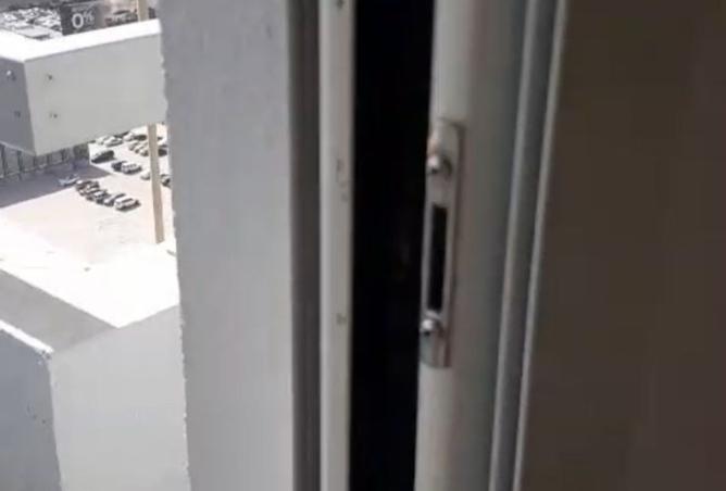 15579696 - Property Image 2