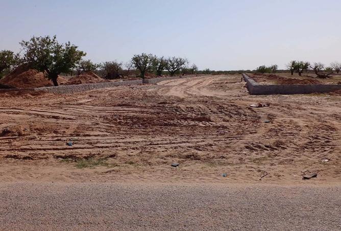 15649914 - Property Image 2