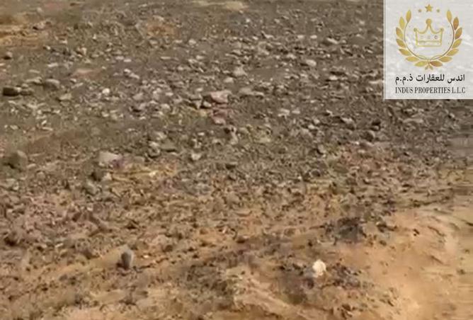 15036243 - Property Image 2