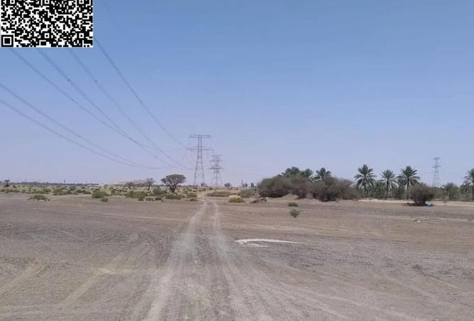 15999391 - Property Image 3