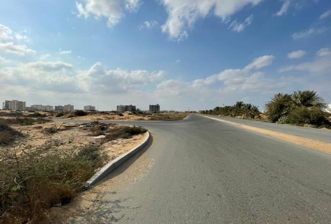 15444241 - Property Image 2