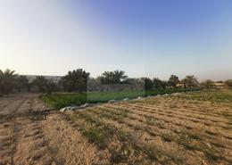 مزرعة - 5 حمامات للبيع في السمحة - أبوظبي