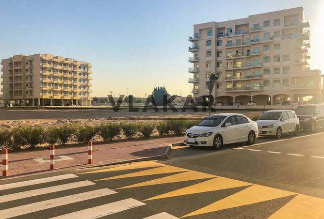 14668896 - Property Image 3