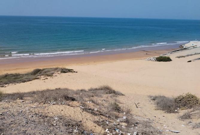 15548766 - صورة العقار 3