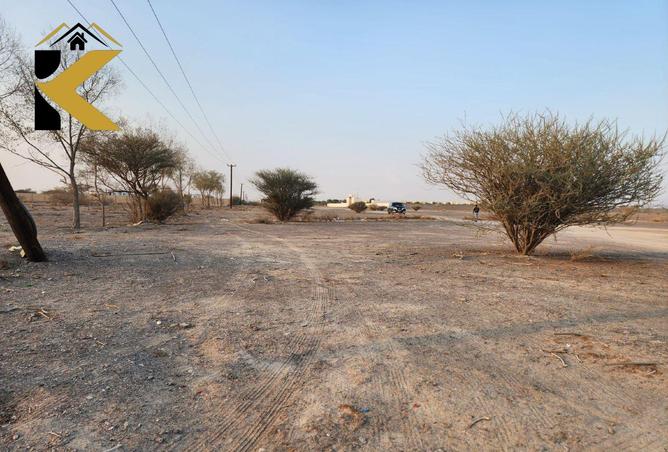 15306826 - Property Image 3