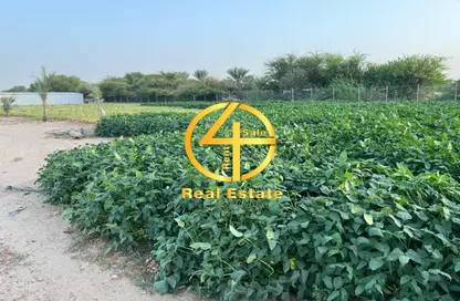 Garden image for: Farm - Studio for sale in Liwa - Abu Dhabi, Image 1