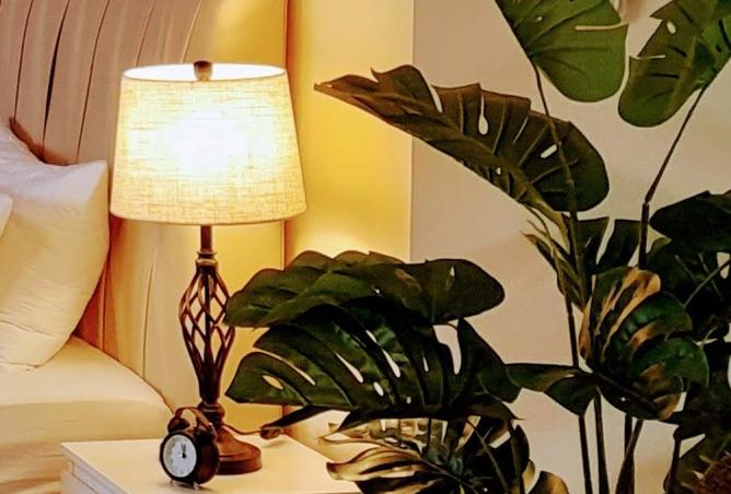 15864284 - صورة العقار 3