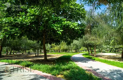 Apartment - Studio - 1 Bathroom for rent in Luma21 - Jumeirah Village Circle - Dubai