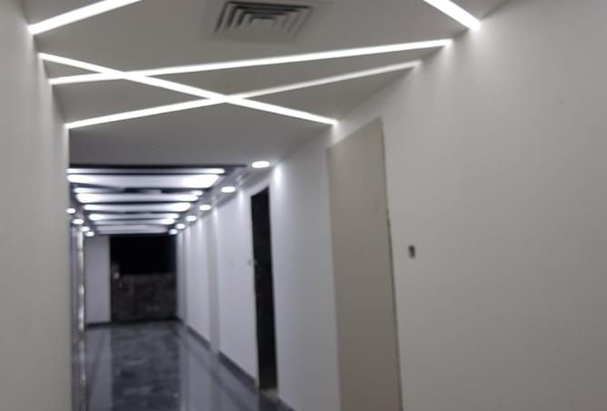 16043379 - Property Image 3