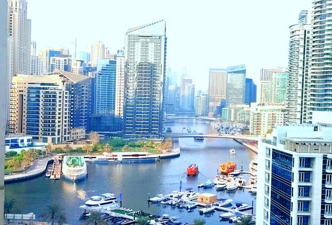 15244352 - صورة العقار 3