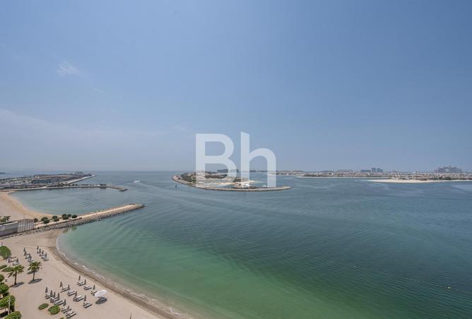 15166786 - صورة العقار 3