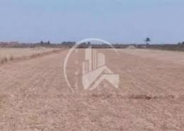 Land for sale in Alreeman II - Al Shamkha - Abu Dhabi