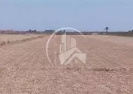 Land - Studio for sale in Alreeman II - Al Shamkha - Abu Dhabi