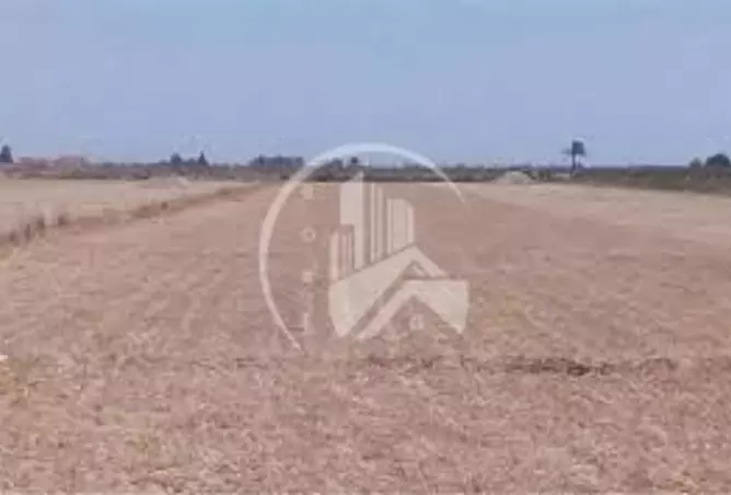 أرض - استوديو للبيع في الريمان II - الشامخة - أبوظبي