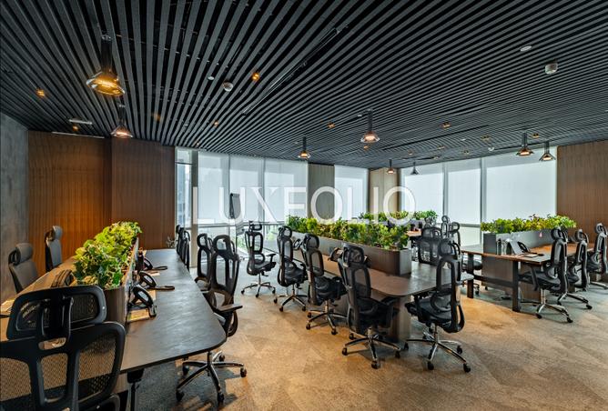 15881731 - صورة العقار 3