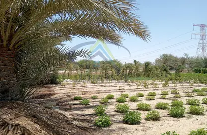 صورة لـ حديقة مزرعة - استوديو للبيع في كيزاد - السمحة - أبوظبي ، صورة رقم 1