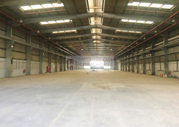 Warehouse for sale in Al Warsan 1 - Al Warsan - Dubai